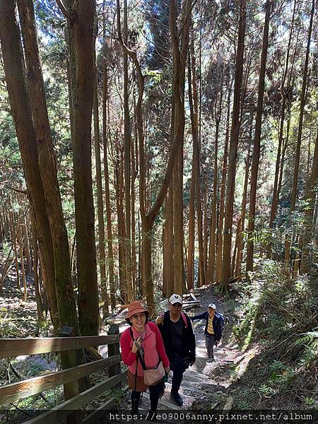 甜蜜CD家到觀霧國家公園(蜜月步道+檜山巨木)遊客中心.山椒魚112 (54).jpg