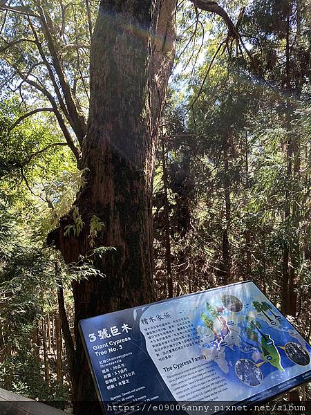 甜蜜CD家到觀霧國家公園(蜜月步道+檜山巨木)遊客中心.山椒魚112 (56).jpg