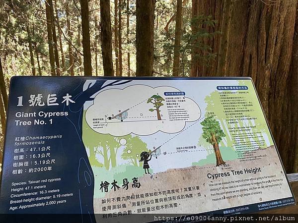 甜蜜CD家到觀霧國家公園(蜜月步道+檜山巨木)遊客中心.山椒魚112 (53).jpg