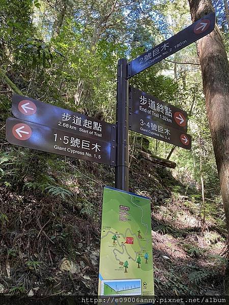 甜蜜CD家到觀霧國家公園(蜜月步道+檜山巨木)遊客中心.山椒魚112 (55).jpg