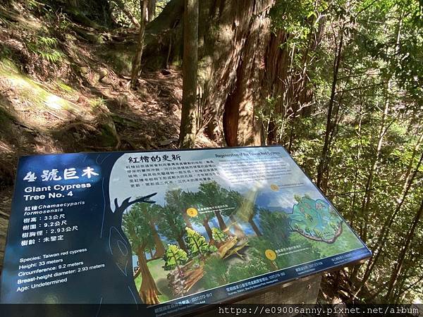 甜蜜CD家到觀霧國家公園(蜜月步道+檜山巨木)遊客中心.山椒魚112 (57).jpg