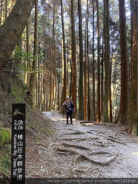 甜蜜CD家到觀霧國家公園(蜜月步道+檜山巨木)遊客中心.山椒魚112 (62).jpg