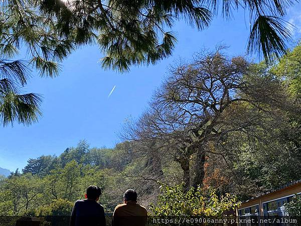 甜蜜CD家到觀霧國家公園(蜜月步道+檜山巨木)遊客中心.山椒魚112 (70).jpg