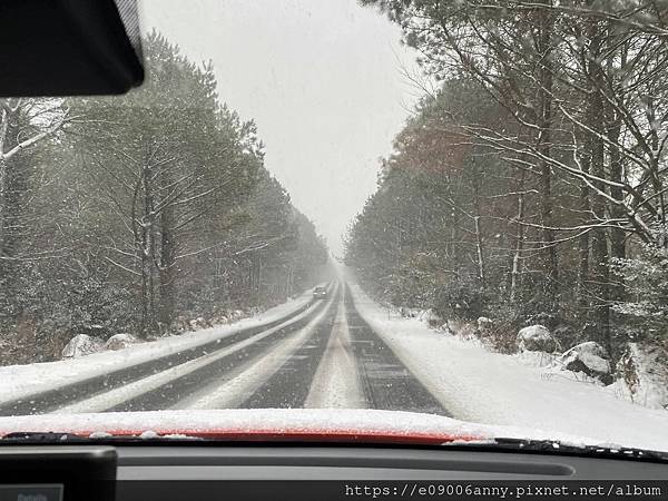 2025甜蜜CD家Day3-1 我們到「漢拏山環林道」欣賞雪景 (11).jpg 2025甜蜜CD家Day3-1 我們到「漢拏山環林道」欣賞雪景 (11).jpg