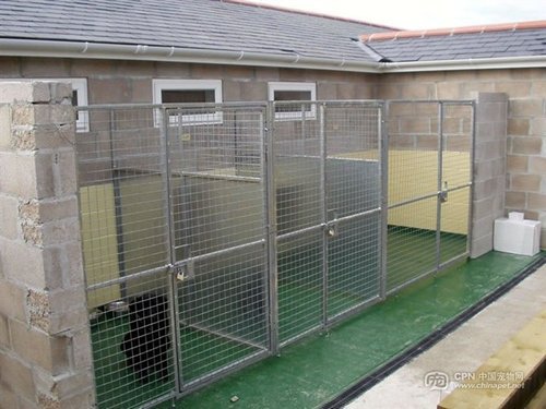 犬舍設計概念 Tim的西藏獒犬 痞客邦 犬舍設計概念 Tim的西藏獒犬 痞客邦