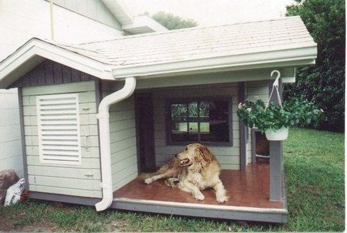 犬舍設計概念 Tim的西藏獒犬 痞客邦 犬舍設計概念 Tim的西藏獒犬 痞客邦