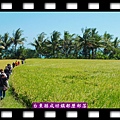 20140604-月桃原鄉都歷部落3