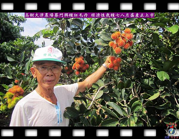 20140718-高樹大津農場紅毛丹盛產上市嚐鮮正當時01