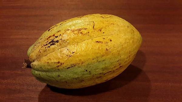 11062684_411258712410458_7046666985739571532_n.jpg 11062684_411258712410458_7046666985739571532_n.jpg