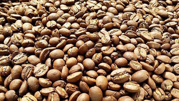 13166090_499801413556187_3272406078074787866_n.jpg 13166090_499801413556187_3272406078074787866_n.jpg