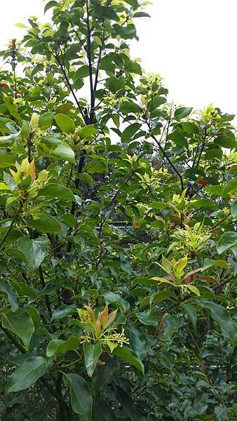 17039184_649919525211041_6068488731855309145_o.jpg 17039184_649919525211041_6068488731855309145_o.jpg