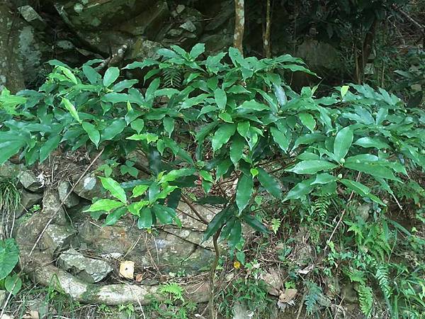 17264940_1888050764554480_3595064738025797882_n.jpg 17264940_1888050764554480_3595064738025797882_n.jpg