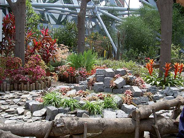 台中植物園2.JPG