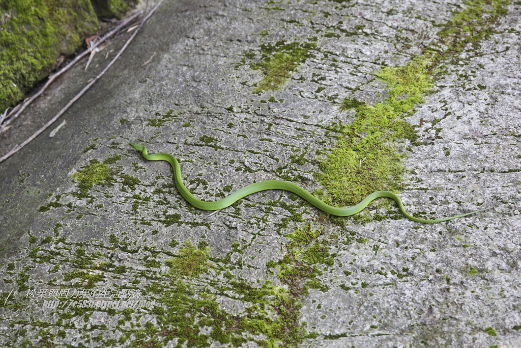 小夫妻Day1-5.JPG 小夫妻Day1-5.JPG