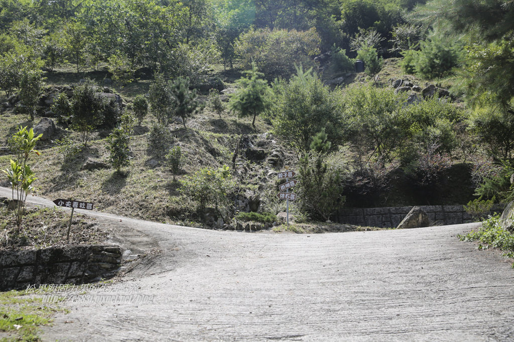 小夫妻Day1-36.JPG 小夫妻Day1-36.JPG