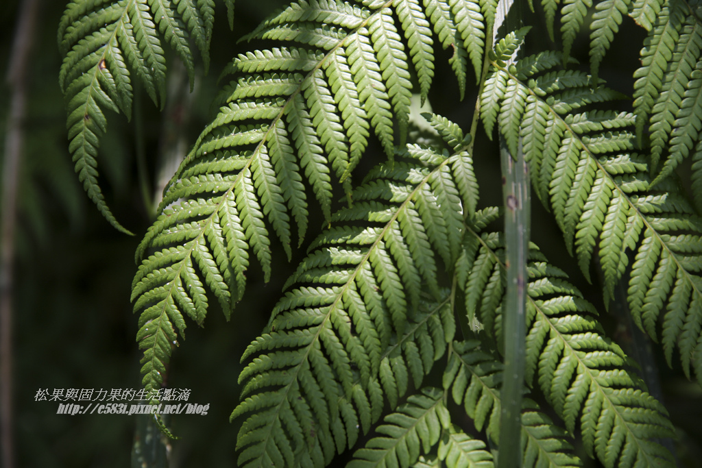 小夫妻Day1-85.JPG 小夫妻Day1-85.JPG