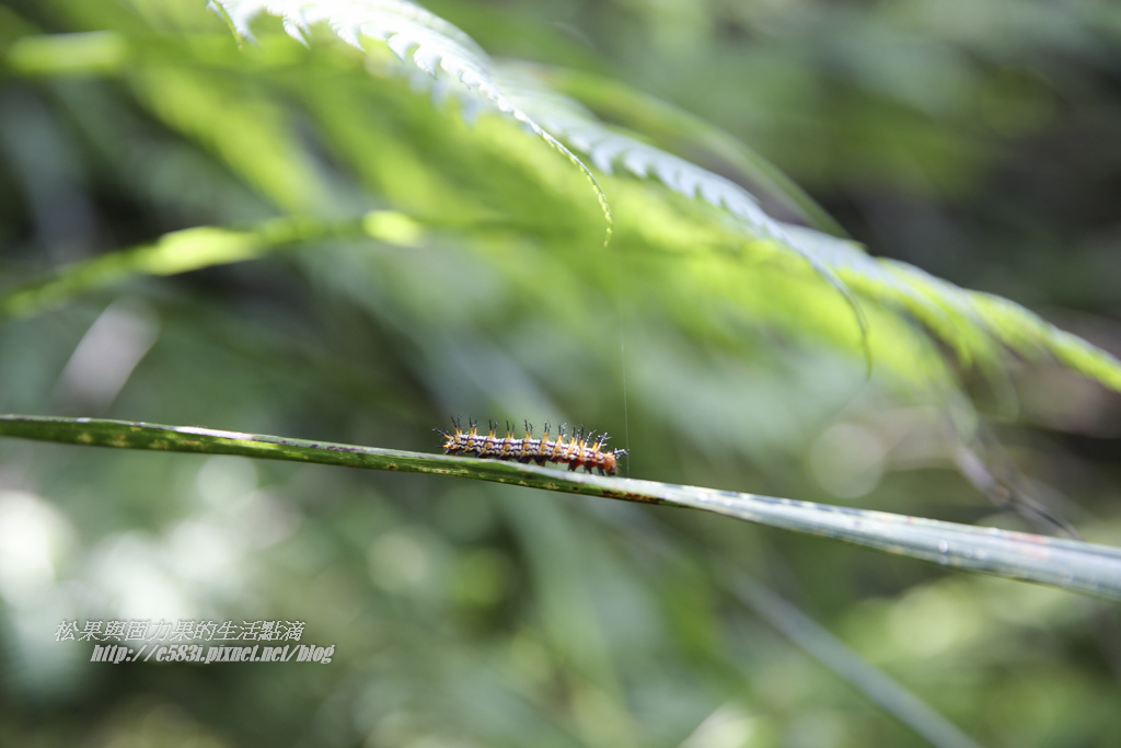 小夫妻Day1-86.JPG 小夫妻Day1-86.JPG