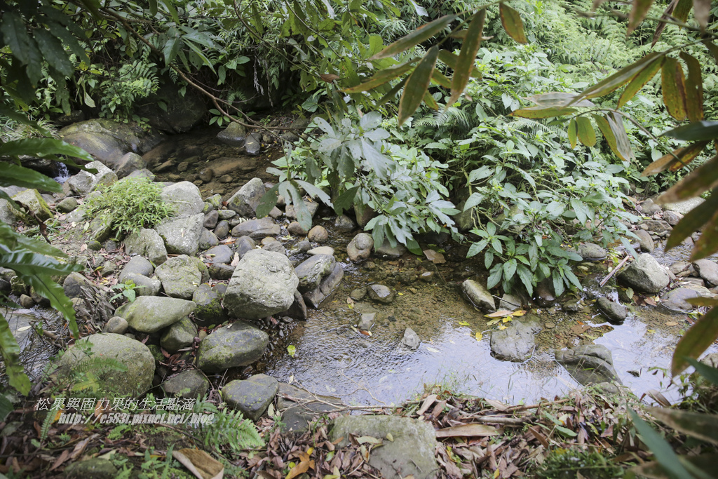 恩典Day1-9.JPG 恩典Day1-9.JPG