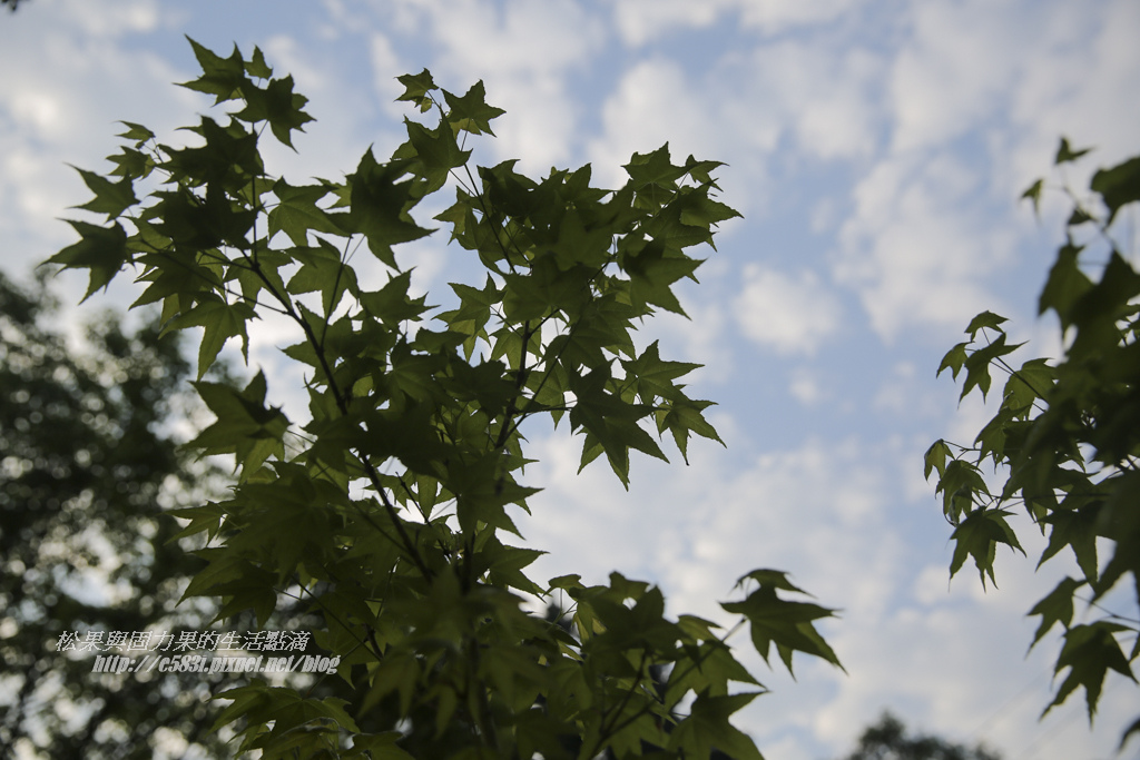 南庄露露Day2-18.JPG 南庄露露Day2-18.JPG