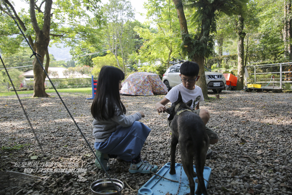 南庄露露Day2-35.JPG 南庄露露Day2-35.JPG