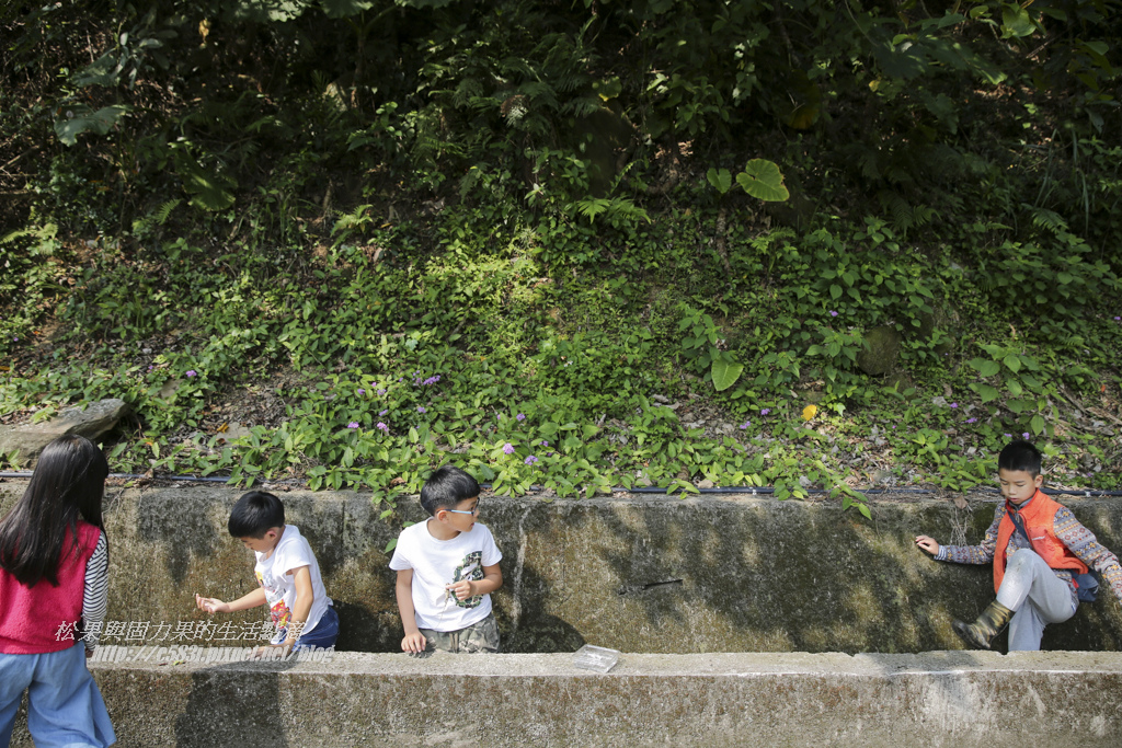 南庄露露Day2-37.JPG 南庄露露Day2-37.JPG