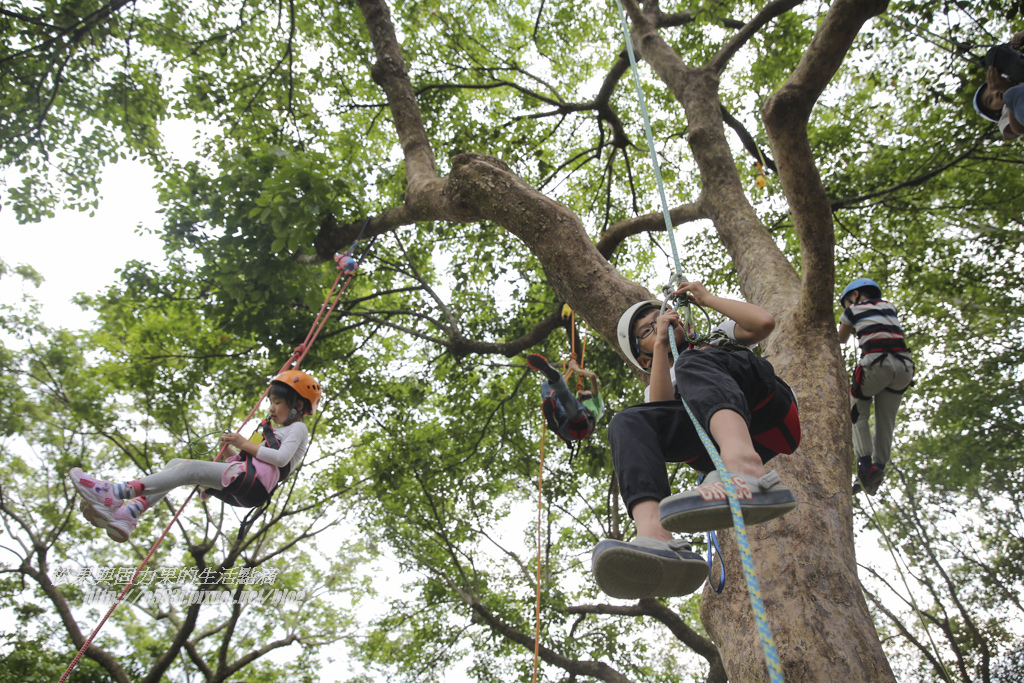 南庄露露Day2-64.JPG 南庄露露Day2-64.JPG