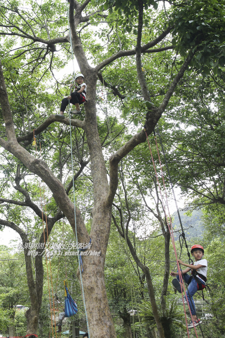 南庄露露Day2-71.JPG 南庄露露Day2-71.JPG