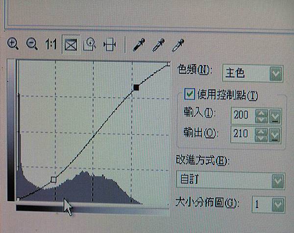 調整大小 P1010012.JPG