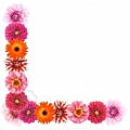 flower-border-design-6984.jpg
