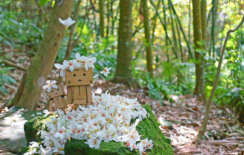 171342.jpg 171342.jpg