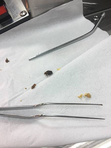 123138985_4478850308851867_704565707574677260_n 123138985_4478850308851867_704565707574677260_n