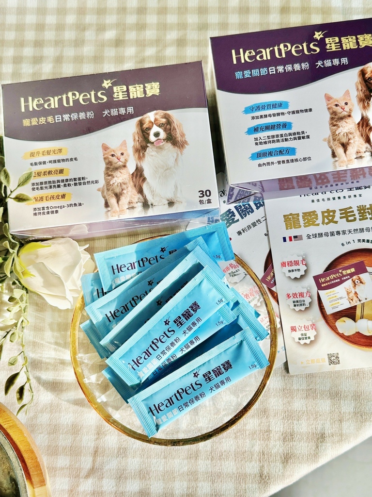 ♡ ིྀ ║ 毛小孩必備保健｜寵愛寵物的關鍵秘密｜寵愛關節對