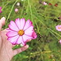 選了非假日的這天 小空虛