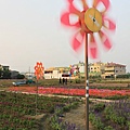 應該是主花園