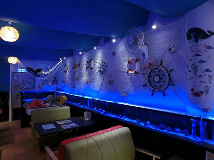 11227760_10203477795864592_2205879252723376709_n