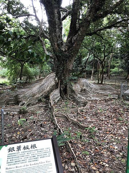 【屏東景點】墾丁國家森林遊樂區