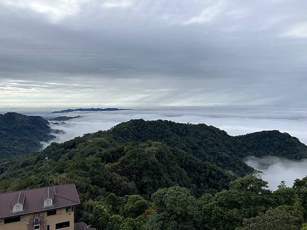 【苗栗景點】薑麻園雲海