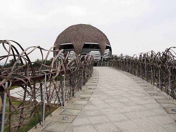 20150121_黃松油餅12