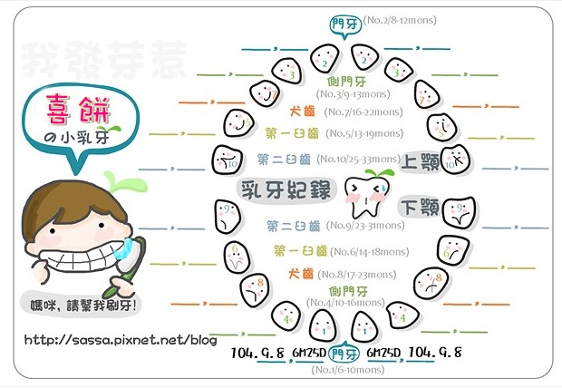 阿餅乳牙圖紀錄-1.2號小白.jpg