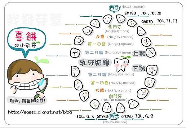 阿餅乳牙圖紀錄-3.4號小白.jpg