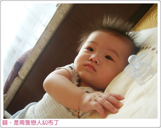 DSC08735.JPG