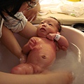 DSC02095_調整大小.JPG