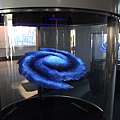 C太空科學教育館 (62).JPG