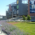 the view of  soccer field.JPG