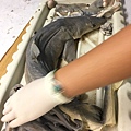 0721SharkDissection_180723_0016.jpg