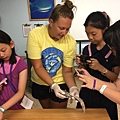 0721SharkDissection_180723_0011.jpg