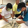 0721SharkDissection_180723_0021.jpg