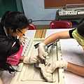 0721SharkDissection_180723_0026.jpg