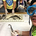 0721SharkDissection_180723_0041.jpg