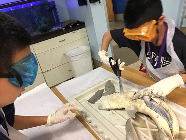 0721SharkDissection_180723_0048.jpg